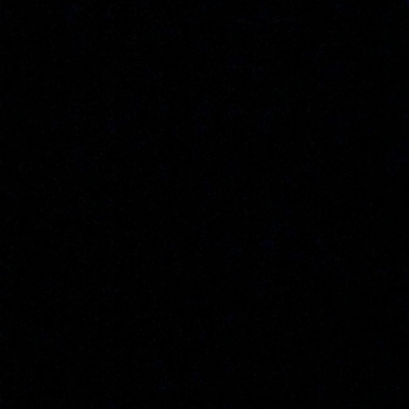 Meet your Posher, Maggie - Picture 1 of 1